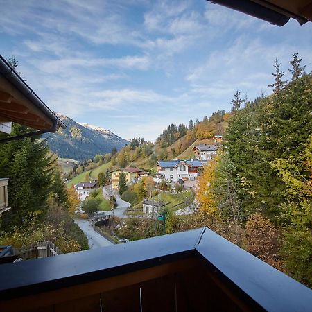 Appartements Hollandia ザールバッハ・ヒンターグレム 部屋 写真