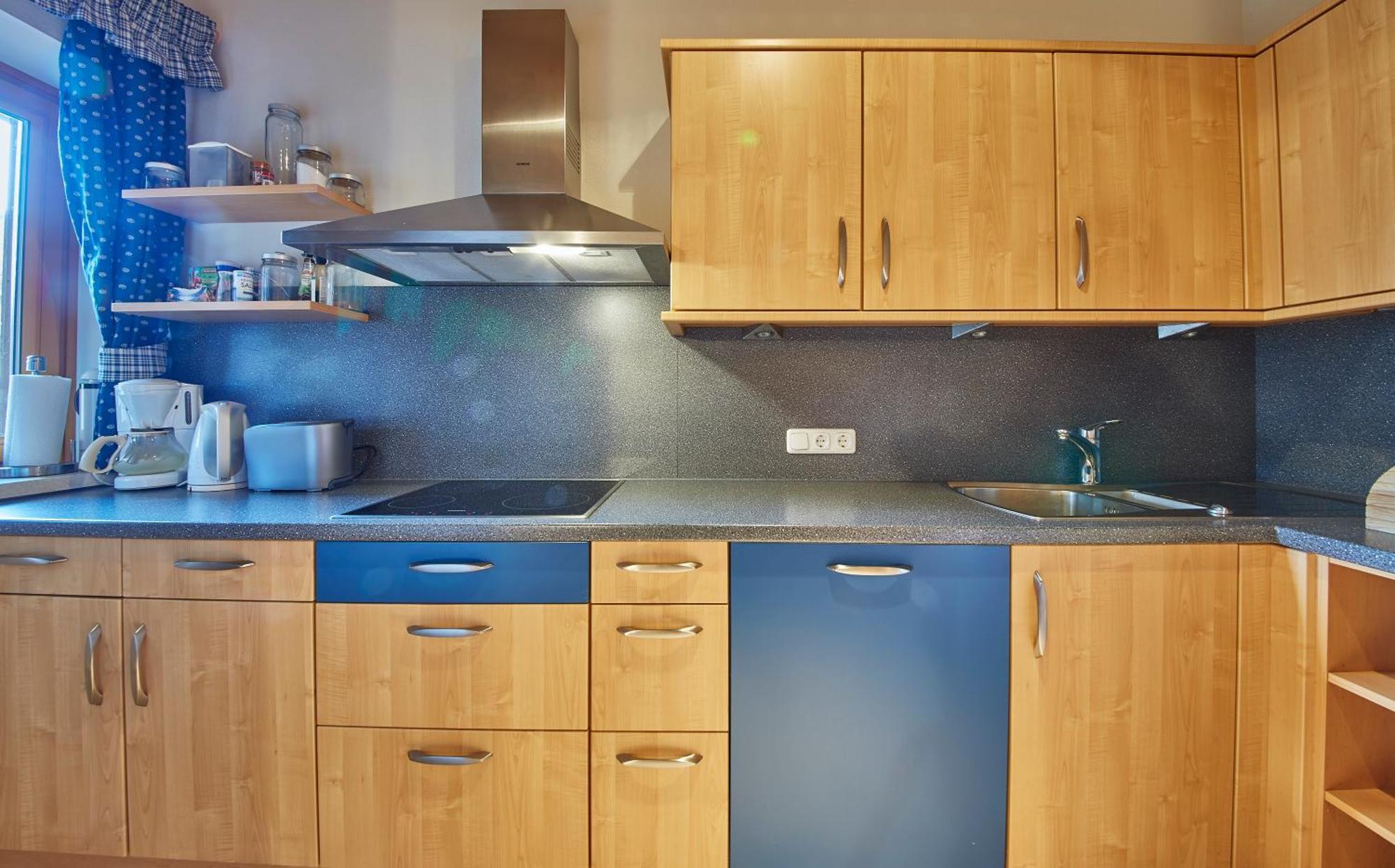 Appartements Hollandia ザールバッハ・ヒンターグレム 部屋 写真